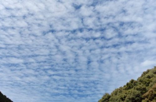 When you see a mackerel sky, you know the highways won’t be dry
