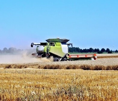 Separate the wheat from the chaff is to separate the good from the bad. Separate the wheat from the chaff is what farmers do when winnow crop.