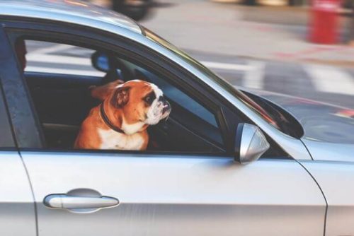 The phrase along for the ride is used when someone is present at some sort of event but they are not participating.