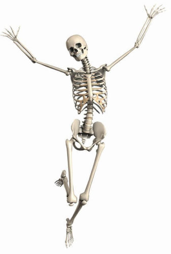 Skeletons In The Closet の意味 使い方 Artisanenglish Jp 英会話