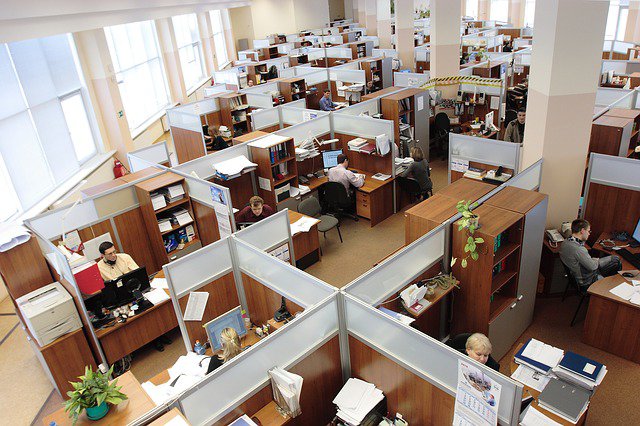 An office full of people in cubicles who are working in sedentary jobs.