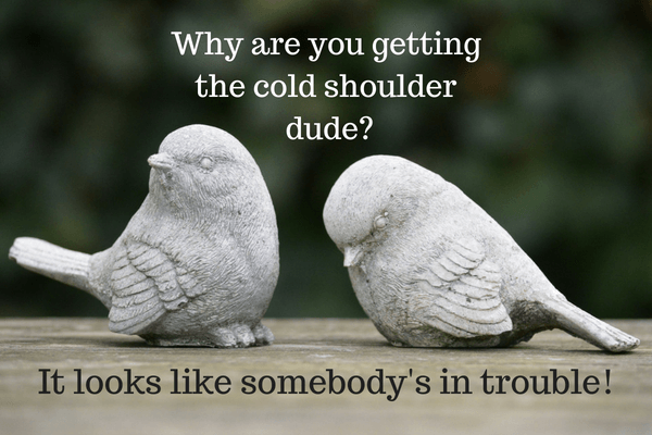 Someone you cold shoulder gives when the What to