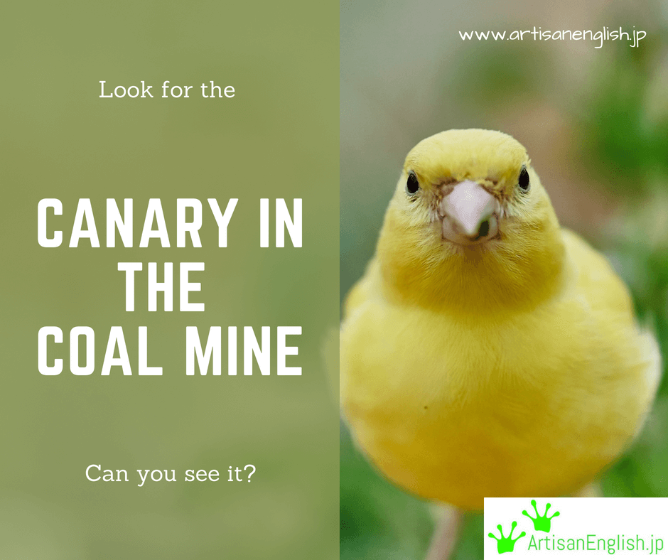 canary mail review 2019 canary mail review 2019