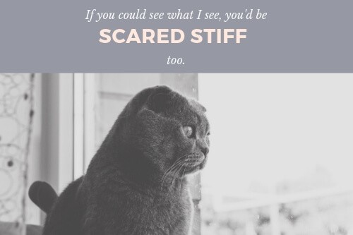 Scared Stiff の意味 使い方 Artisanenglish Jp 英会話 ネイティブの英語