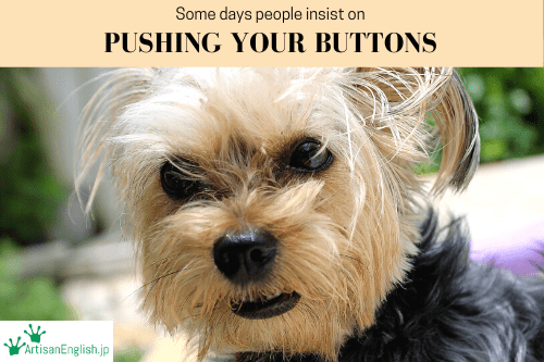 Push your buttons