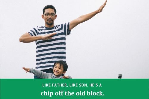 Chip Off The Old Block の意味 使い方 Artisanenglish Jp 英会話