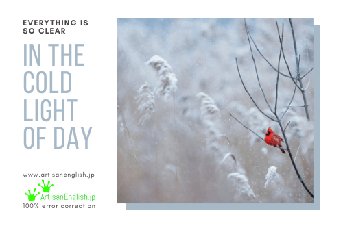 In the cold light of day