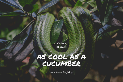 As cool as a cucumber