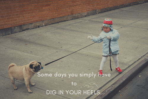Dig your heels in
