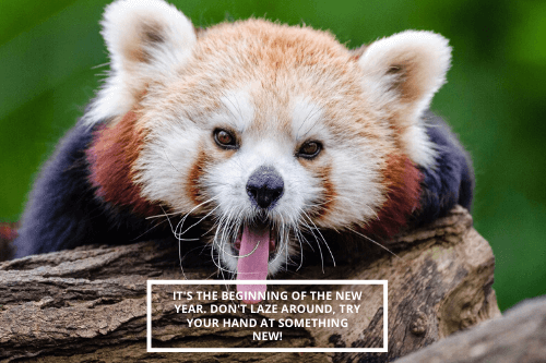 Try your hand at something