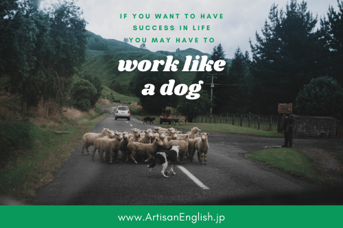 Work like a dog