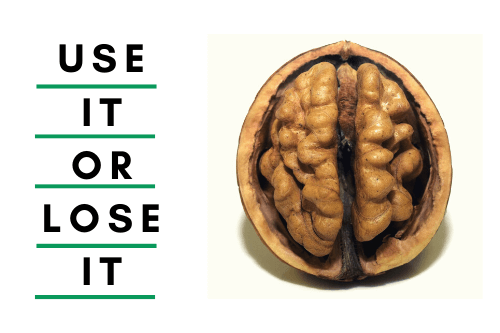 A walnut resembling a brain.