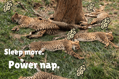 Power nap