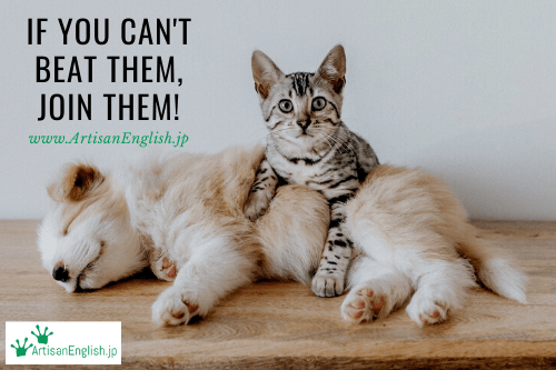 If you can’t beat them, join them