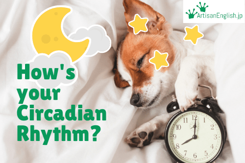 Circadian rhythm