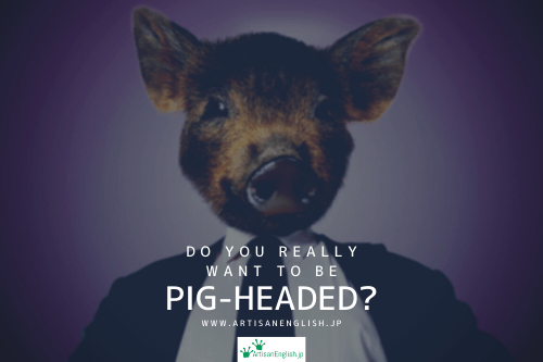 Pig-headed