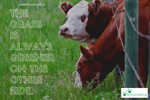 The grass is always greener on the other side