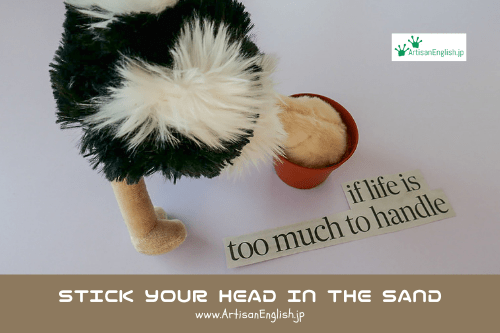 Stick your head in the sand