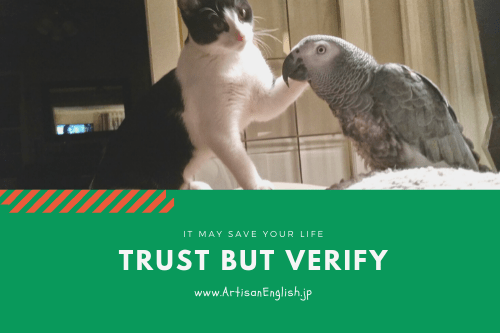 Trust but verify