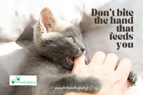 Don’t bite the hand that feeds you