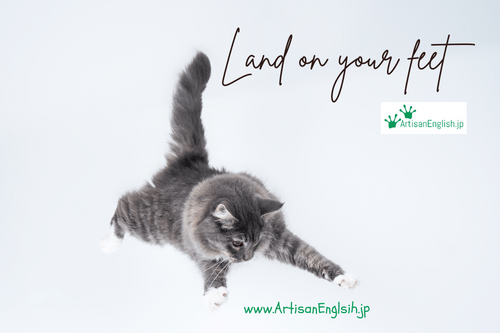 Land on your feet