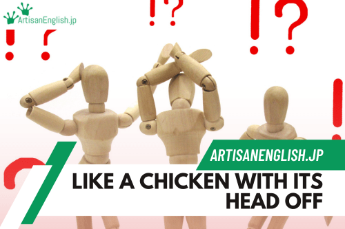Saturday, 2023-11-11, Phrase: Like a chicken with its head off