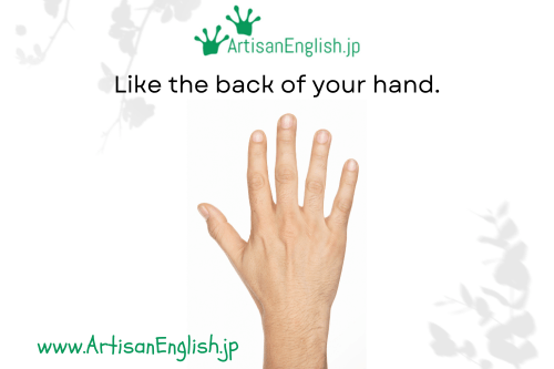 Saturday, 2025-2-1, Phrase: Like the back of your hand