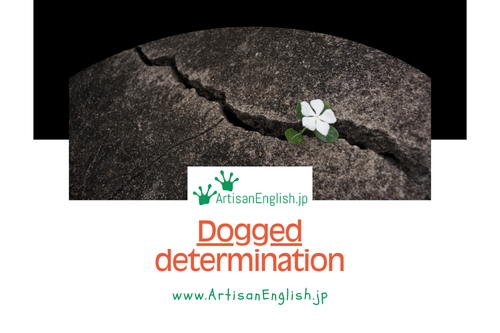 Saturday, 2025-5-3, Word of the Day: Dogged