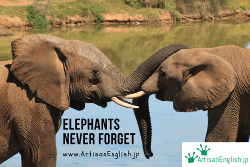 Elephants never forget